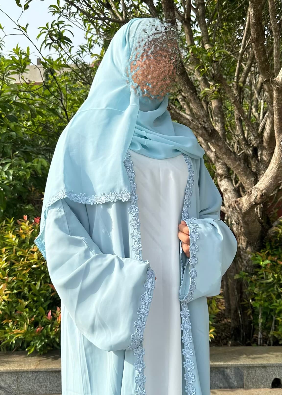 Aster Bleu 3